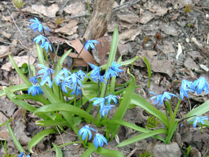 Совещание в компании